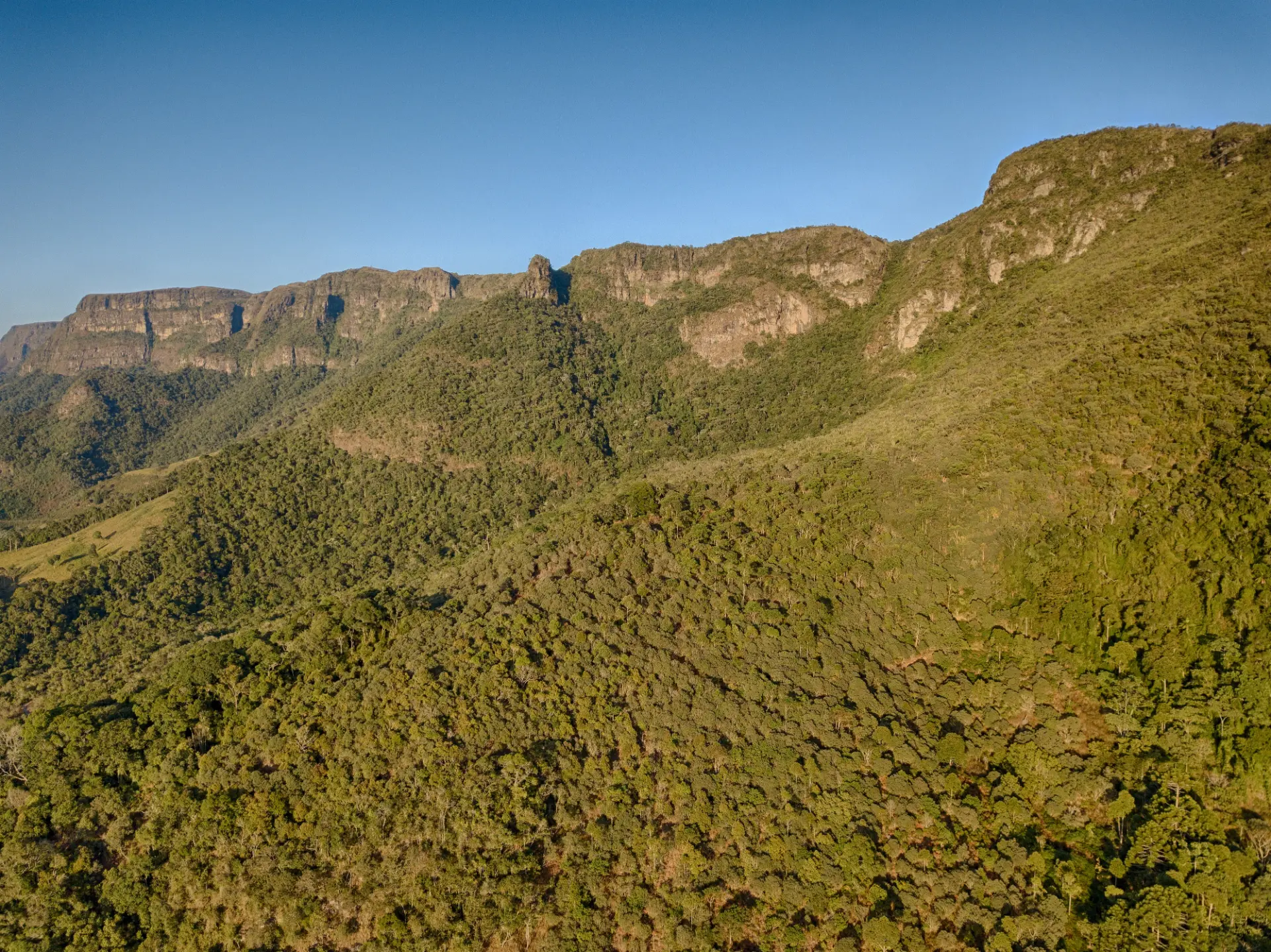 Encosta coberta de mata regenerada sob os paredões da serra