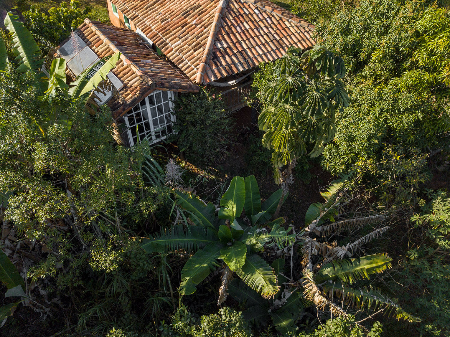 Loft Humboldt, Ibiti Village