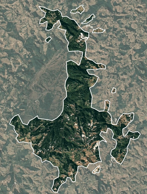 Imagem de satélite de 2023 com o contorno do Ibiti: a mata fechada ocupando quase todo o território